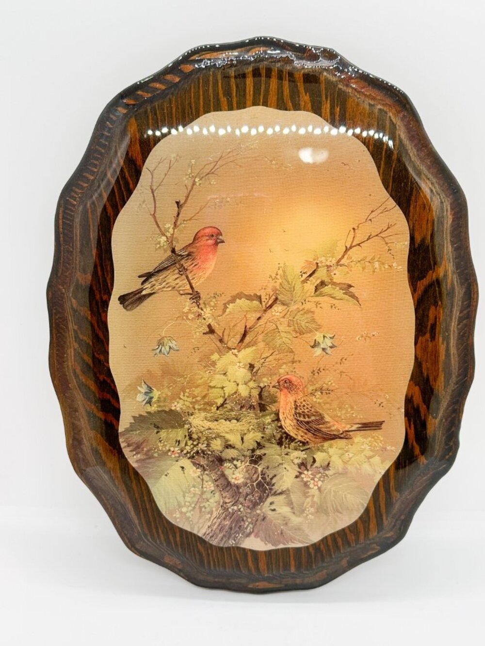 Vintage 70's 80's Wood Plaque Art Birds MCM Retro Pastel Nature Boho